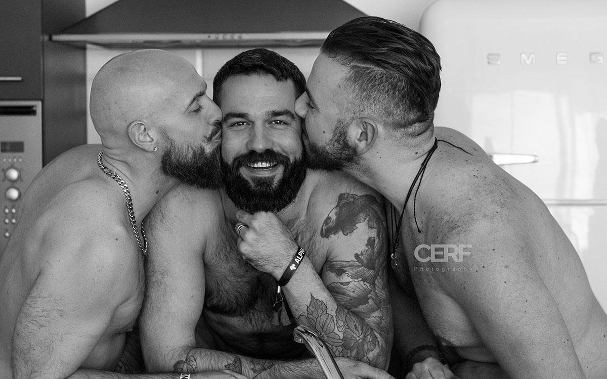 cerf bear gay