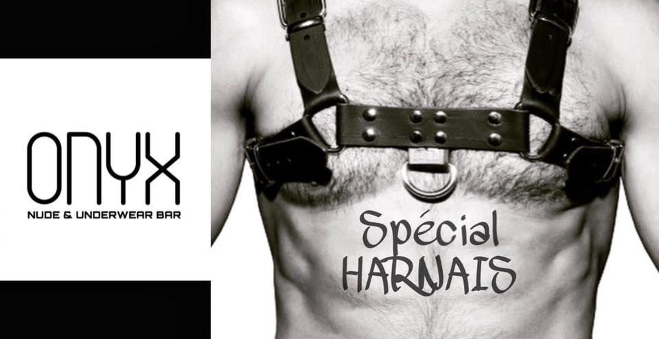 SPÉCIAL HARNAIS